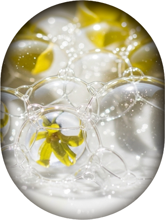 Famille olfactive Aldéhydes – ROEL Paris