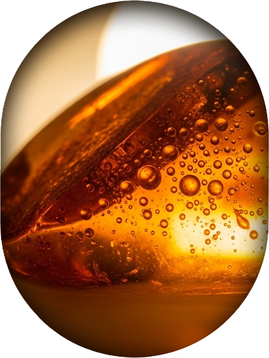 Notes ambrées – famille olfactive des parfums ROEL Paris