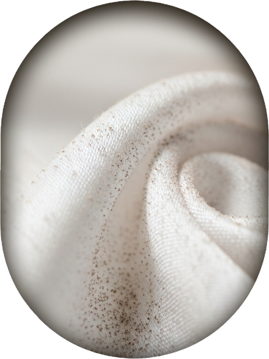 Notes musquées – famille olfactive des parfums ROEL Paris