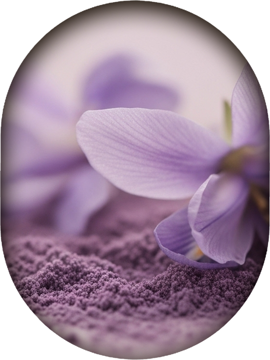 Notes poudrées – famille olfactive des parfums ROEL Paris