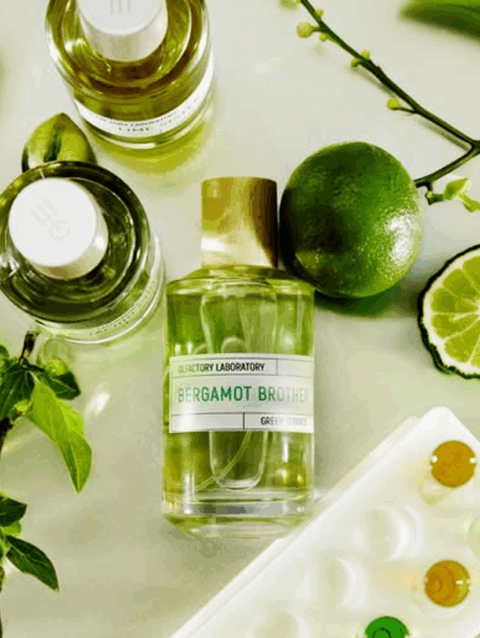 BergamotBrother-display