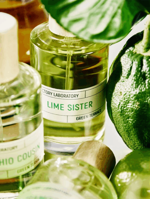 lime_sister_display