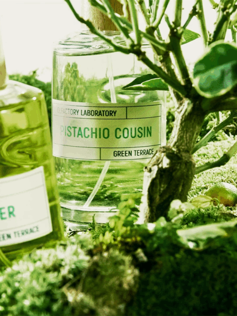 pistachio_cousin_display